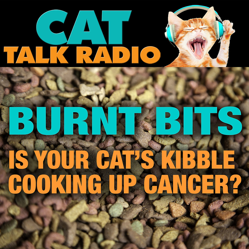 Is Your Cat’s Kibble Increasing Their Cancer Risk? The Truth About Charred Pet Food